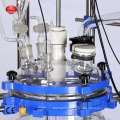 Biotechnology Lab Single Layer Glass Reactor Machine